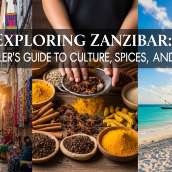 Zanzibar Travel Guide